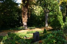 Herbst-Friedhof 024.jpg